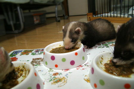 120306.jpg